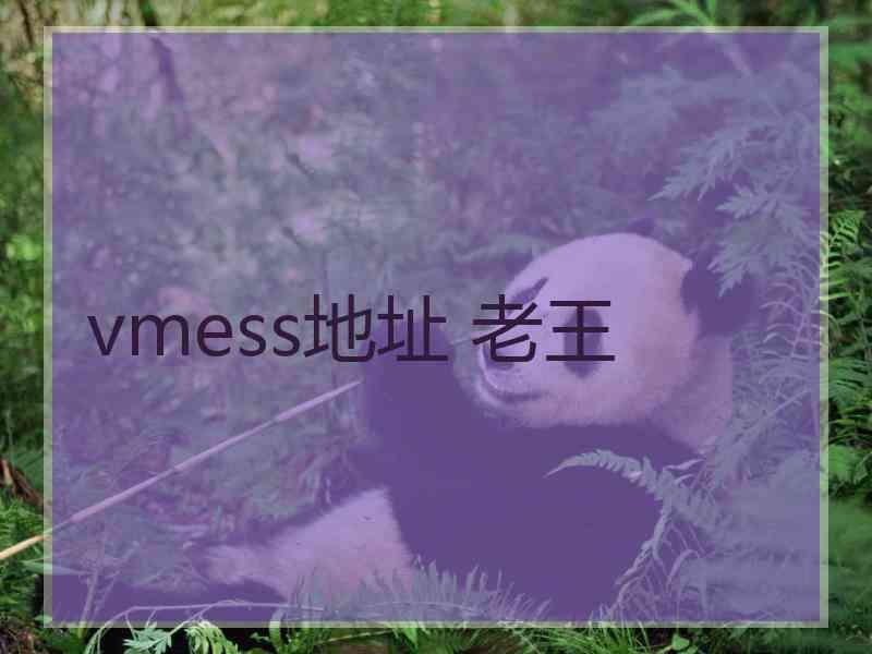 vmess地址 老王