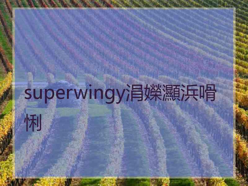 superwingy涓嬫灦浜嗗悧