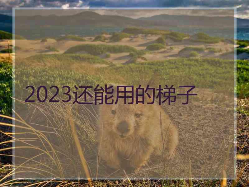 2023还能用的梯子