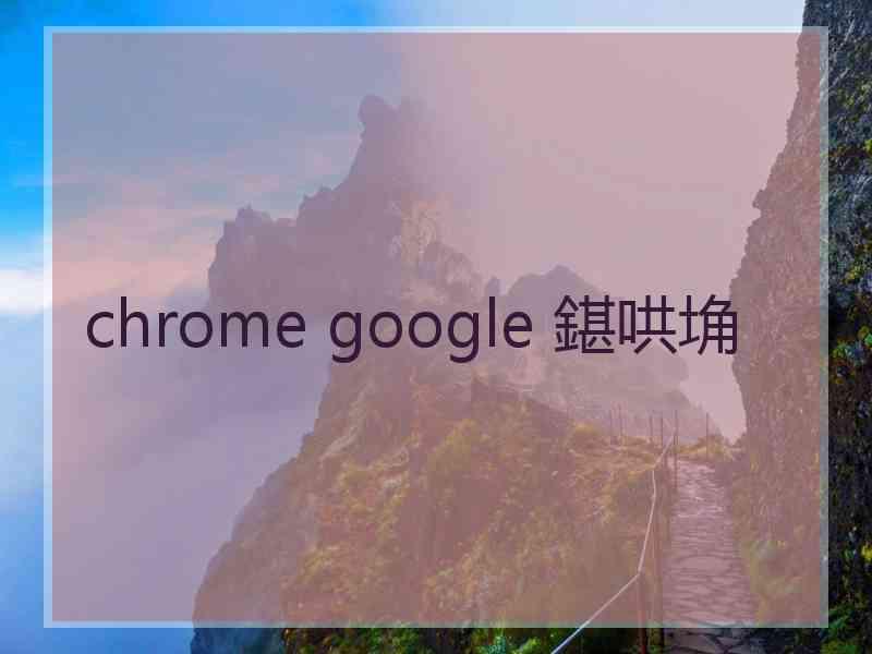 chrome google 鍖哄埆