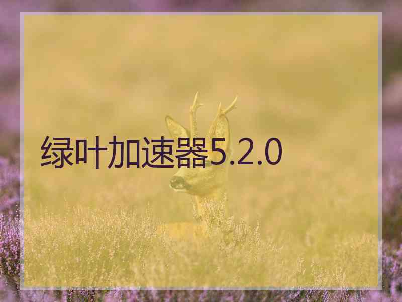 绿叶加速器5.2.0