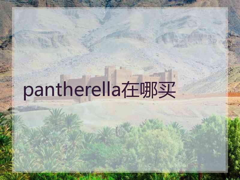 pantherella在哪买