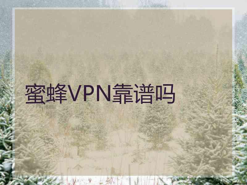 蜜蜂VPN靠谱吗