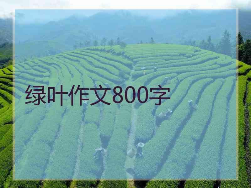 绿叶作文800字