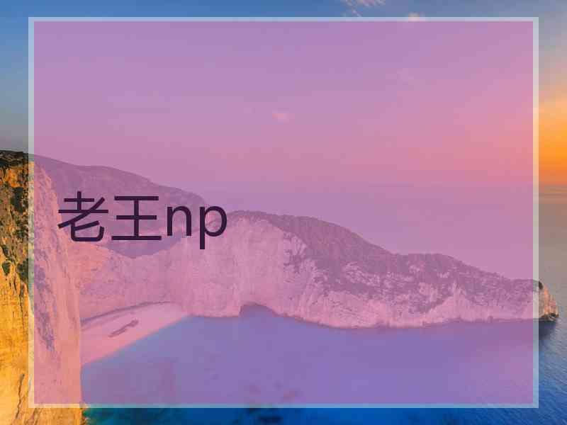 老王np