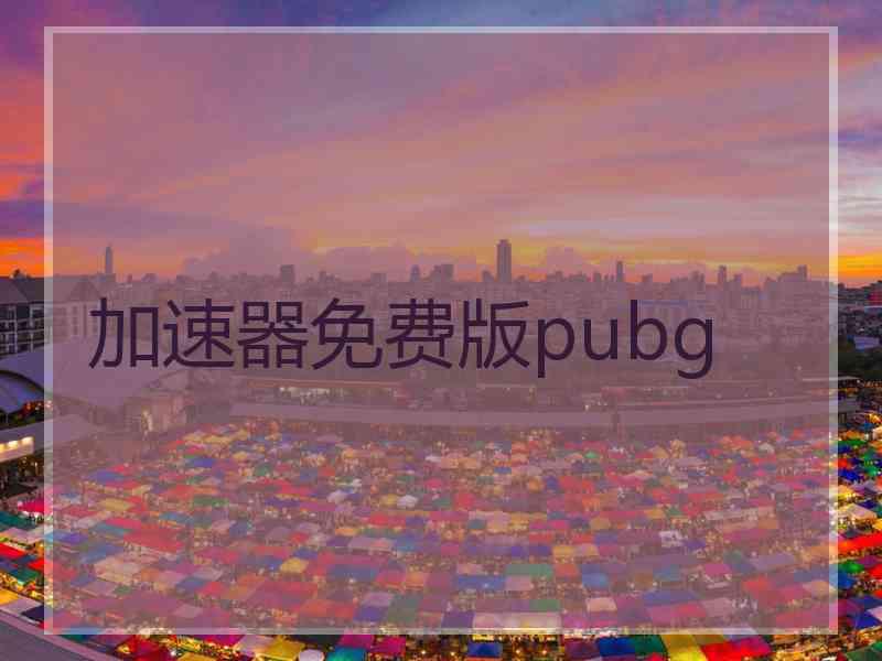 加速器免费版pubg