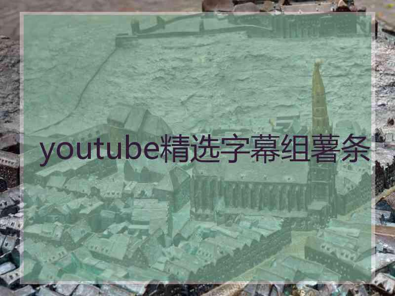 youtube精选字幕组薯条