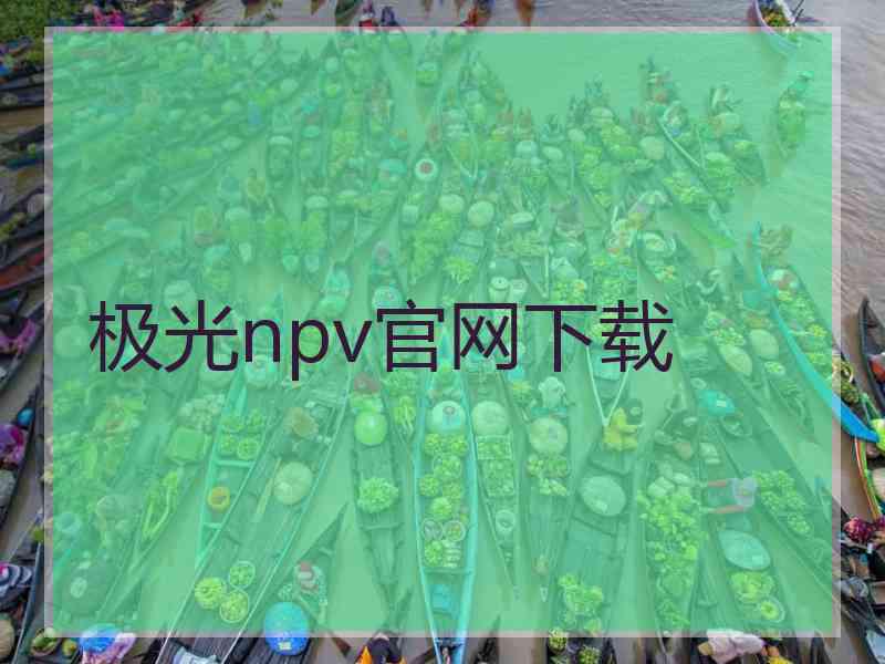 极光npv官网下载