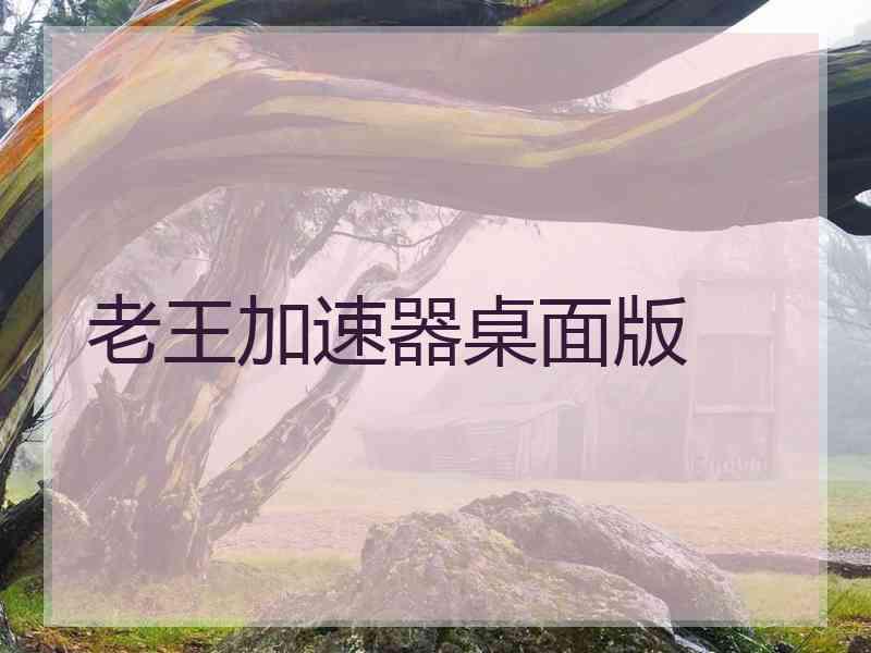 老王加速器桌面版