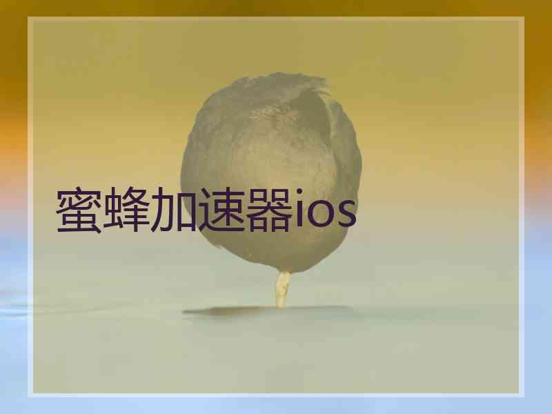 蜜蜂加速器ios