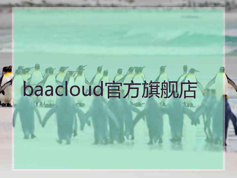 baacloud官方旗舰店