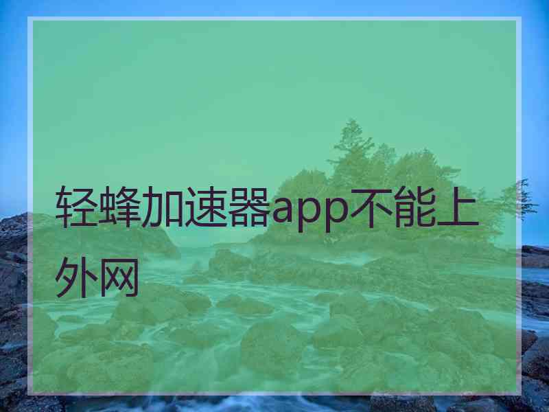 轻蜂加速器app不能上外网