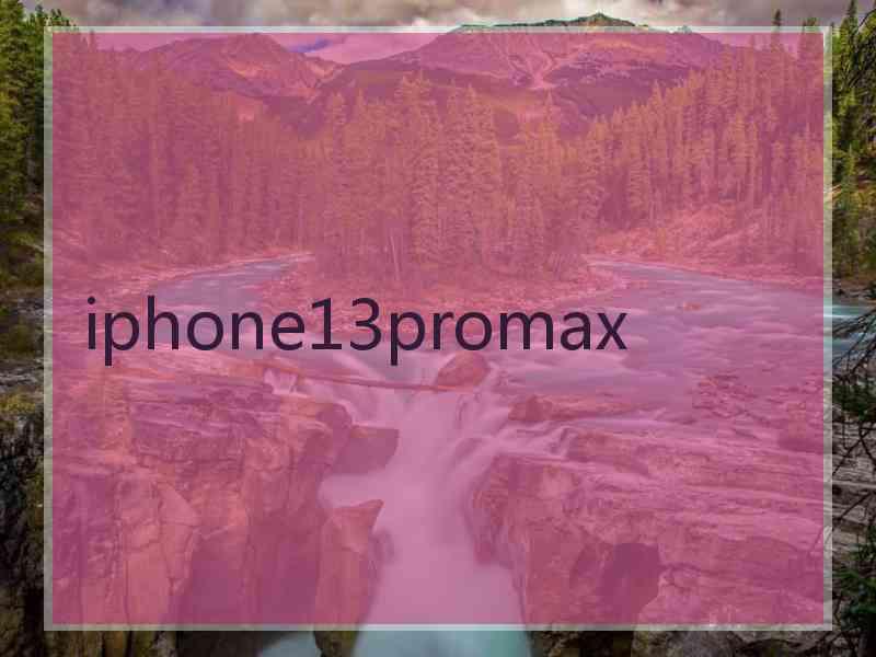 iphone13promax