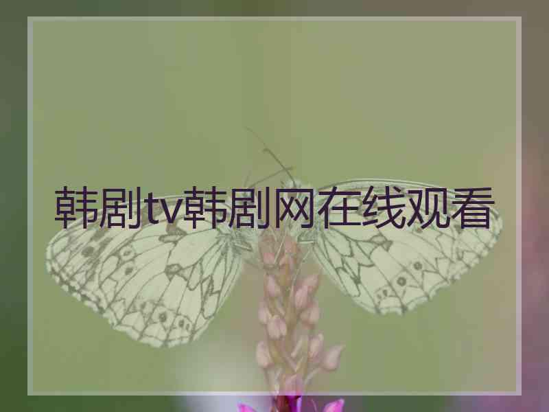 韩剧tv韩剧网在线观看