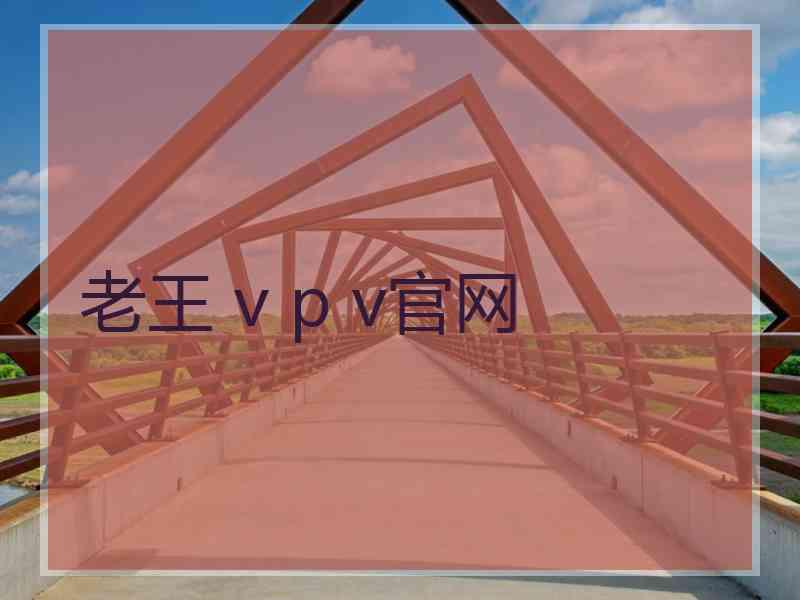 老王 v p v官网