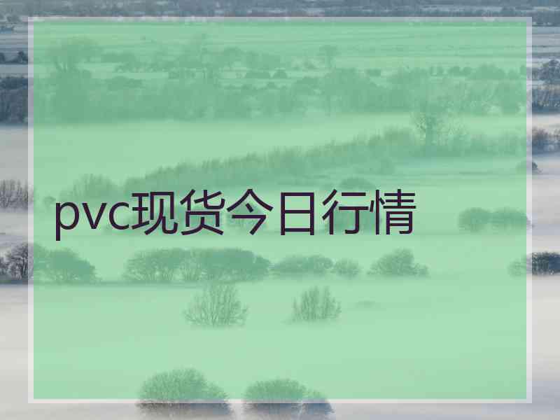 pvc现货今日行情