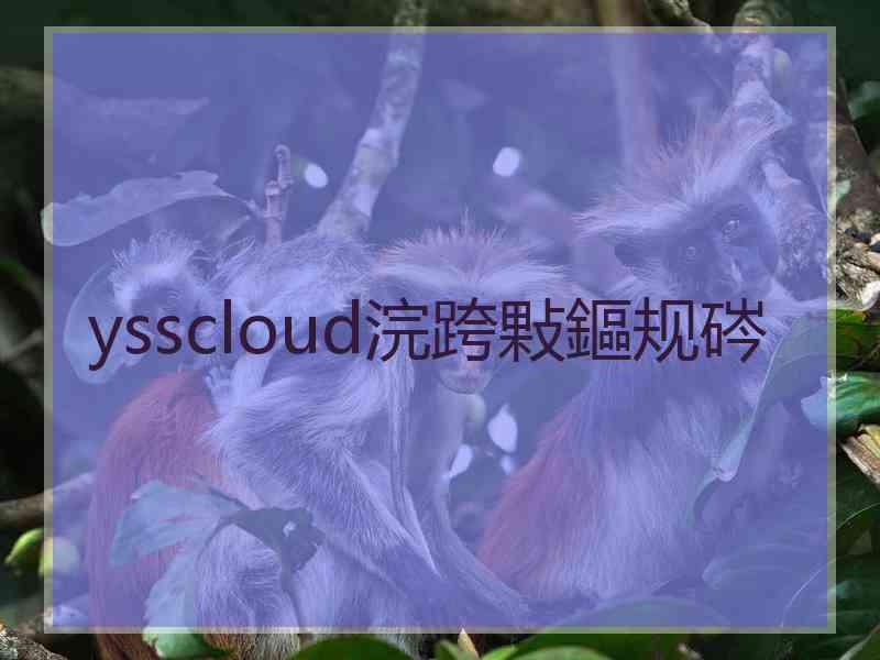 ysscloud浣跨敤鏂规硶