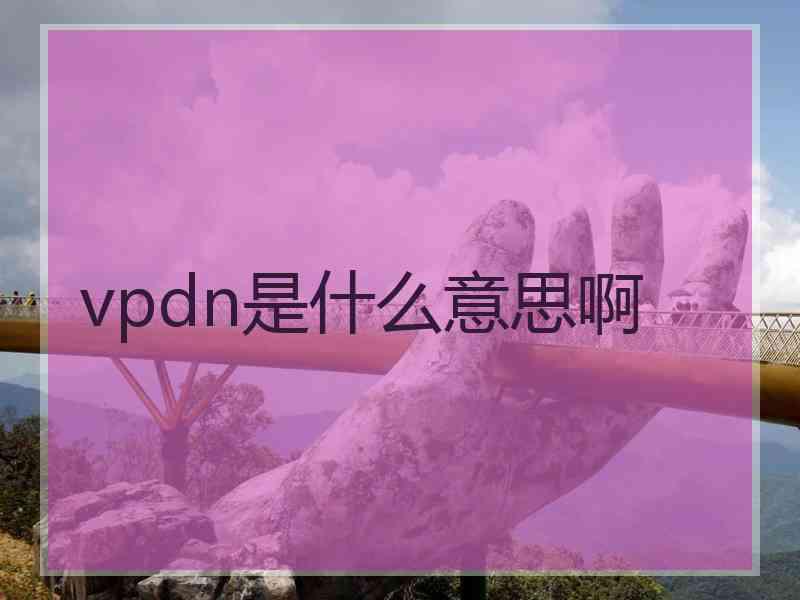 vpdn是什么意思啊