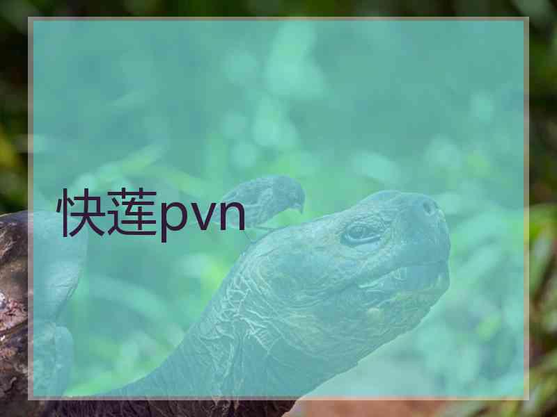 快莲pvn