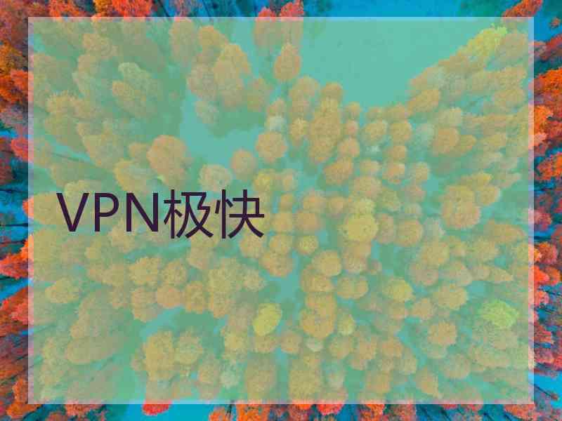 VPN极快