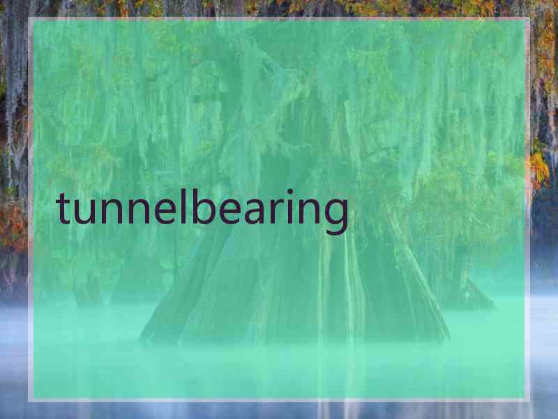 tunnelbearing