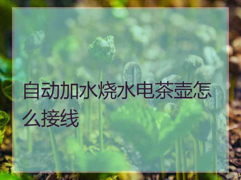 自动加水烧水电茶壶怎么接线