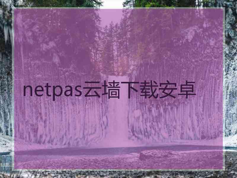 netpas云墙下载安卓