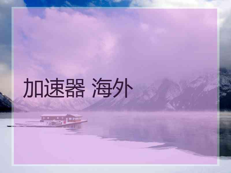 加速器 海外