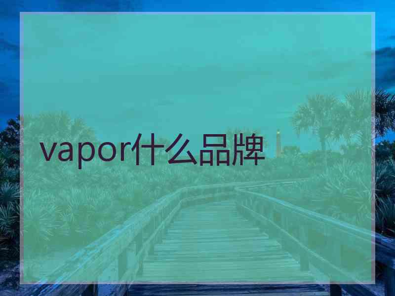 vapor什么品牌