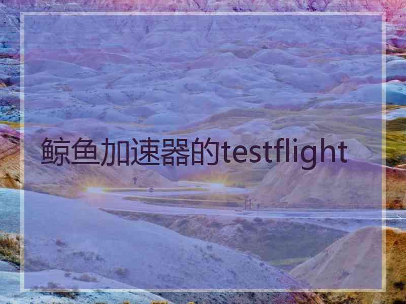 鲸鱼加速器的testflight