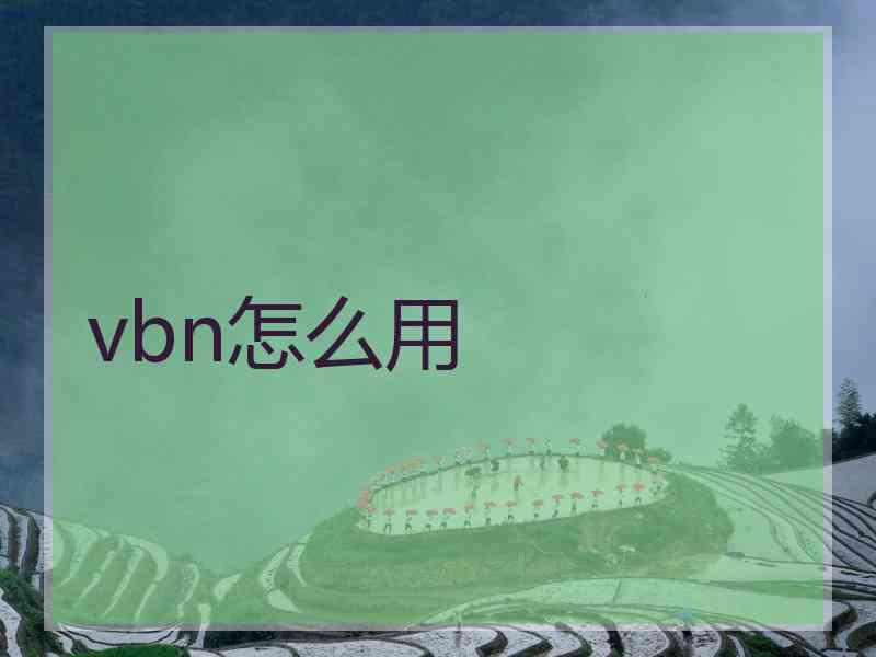 vbn怎么用