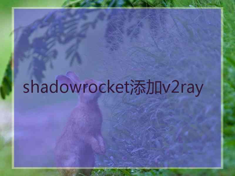 shadowrocket添加v2ray