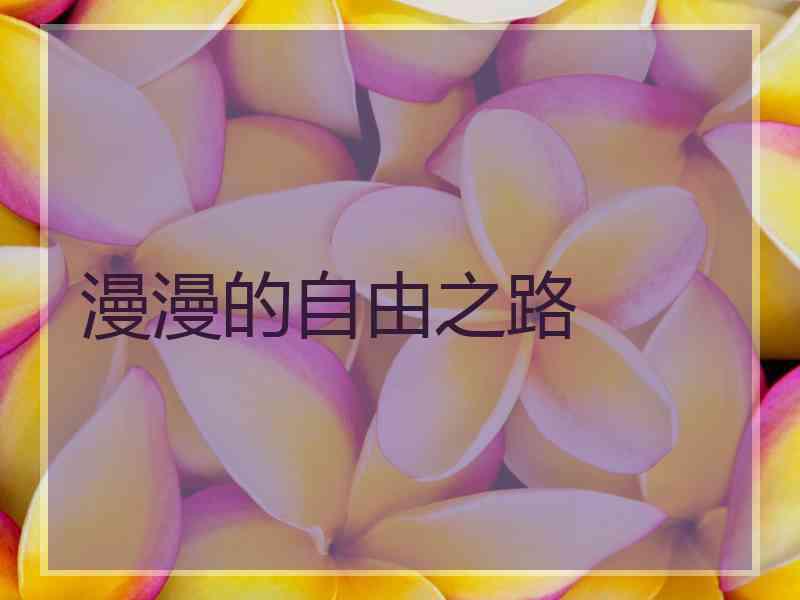 漫漫的自由之路