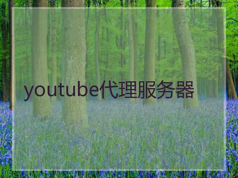 youtube代理服务器