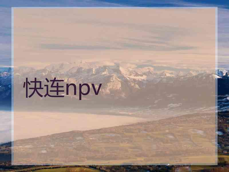 快连npv