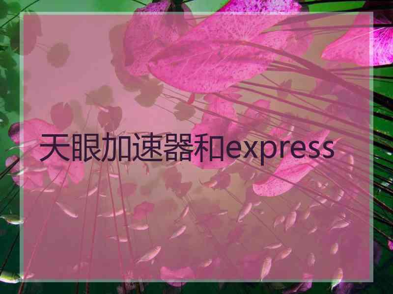 天眼加速器和express