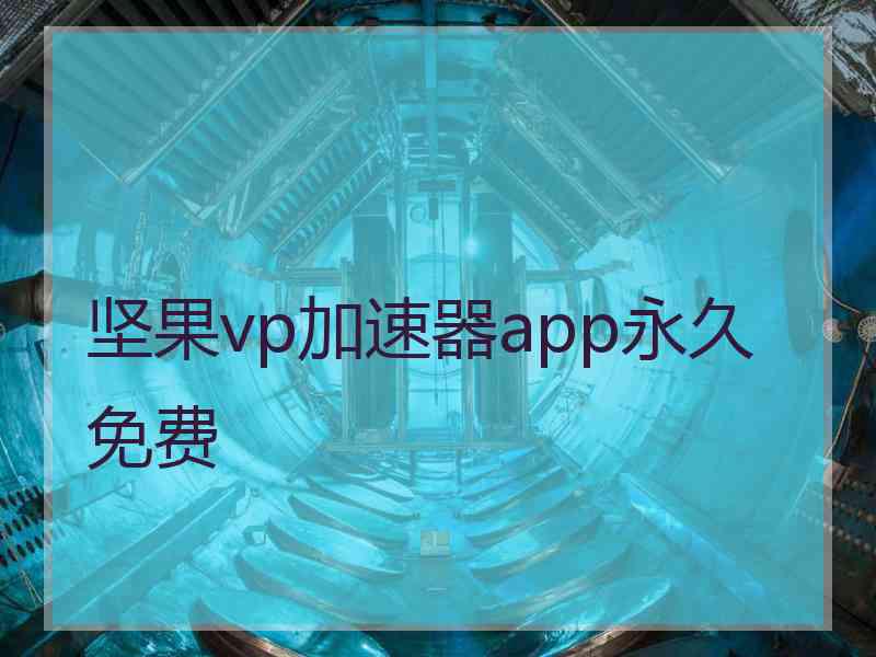 坚果vp加速器app永久免费