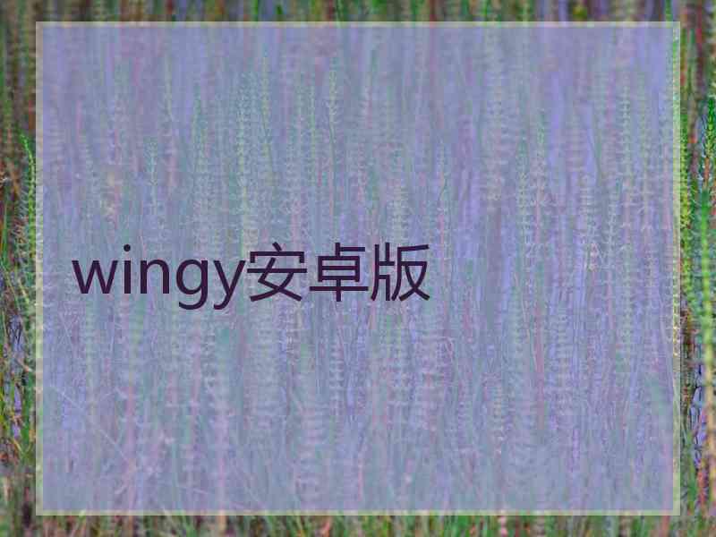 wingy安卓版