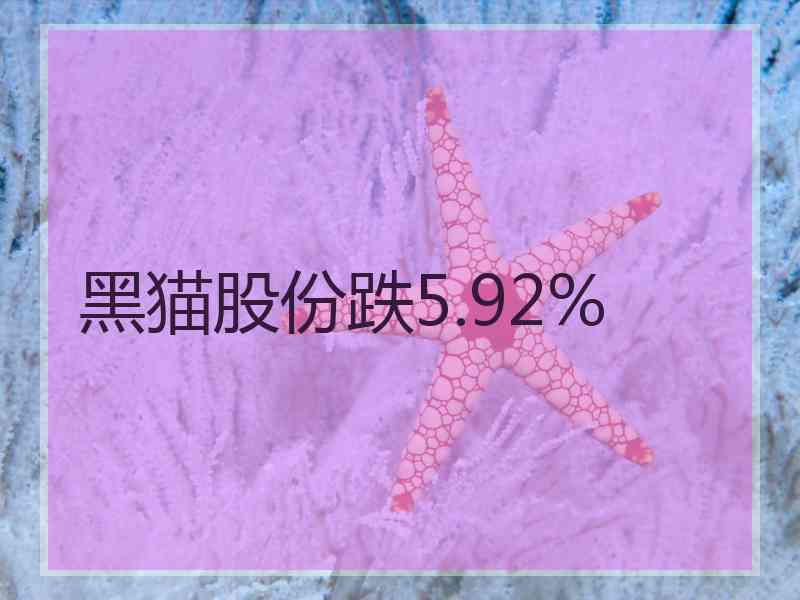 黑猫股份跌5.92%