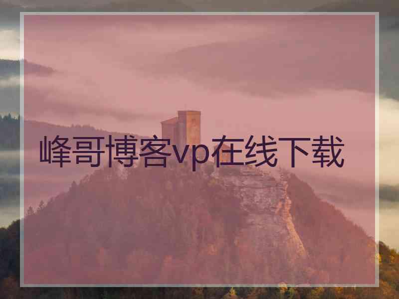 峰哥博客vp在线下载