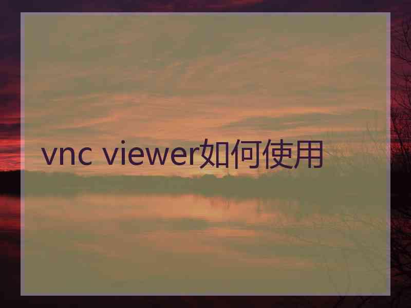 vnc viewer如何使用