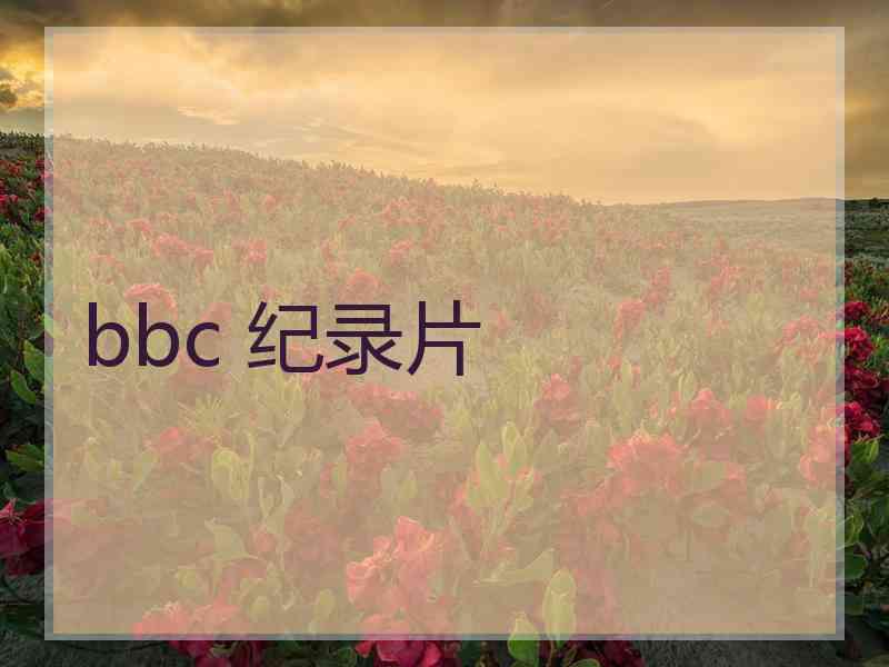 bbc 纪录片