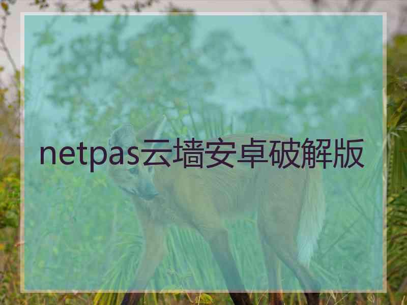 netpas云墙安卓破解版