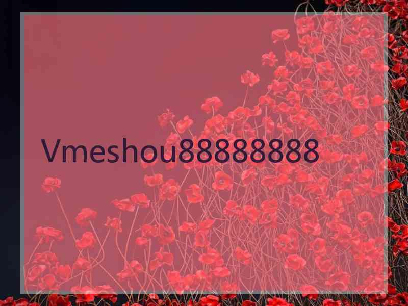 Vmeshou88888888