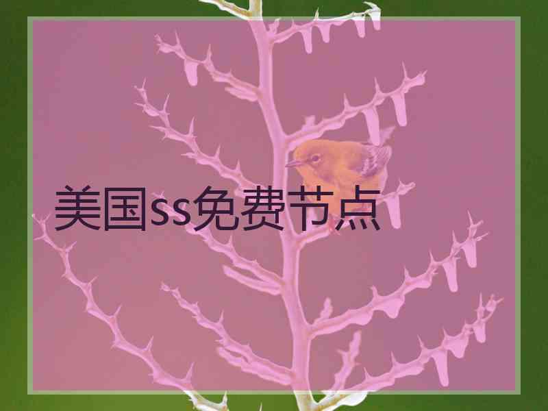 美国ss免费节点