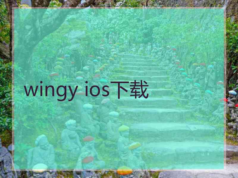 wingy ios下载