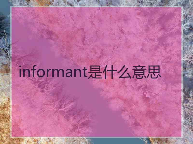 informant是什么意思