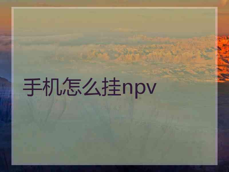 手机怎么挂npv