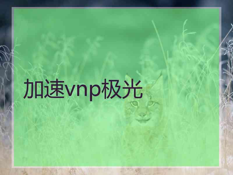 加速vnp极光