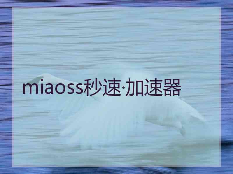 miaoss秒速·加速器